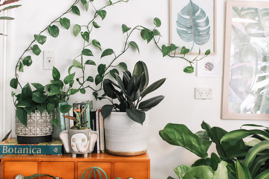 Woonkamer met planten